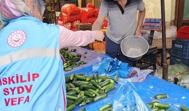 İskilip'te Vefa Programı kapsamında 335 kişiye hizmet verildi