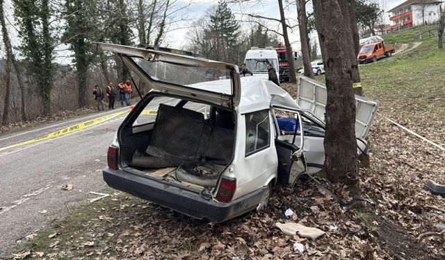 AĞACA ÇARPTI, HAYATINI KAYBETTİ
