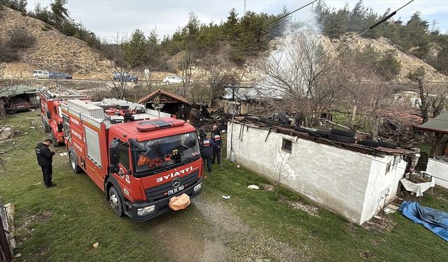 Karabük'te ahırda çıkan yangında 2 köpek öldü
