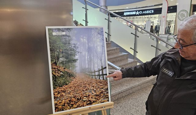 Kastamonu'da Dünya Sulak Alanlar Günü etkinlikleri