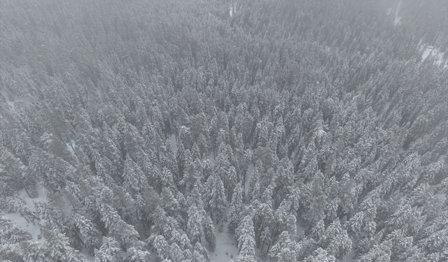 Kastamonu'nun yüksek kesimlerinde kar yağışı etkili oldu