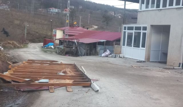Ordu'da fırtına nedeniyle 11 evin çatısı uçtu, ağaçlar devrildi