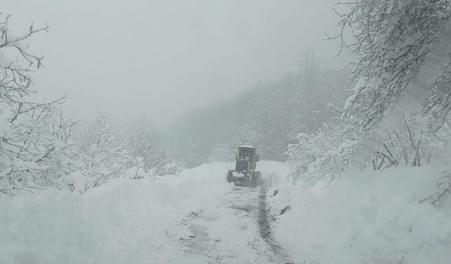 Tokat'ta kar yağışı etkili oldu