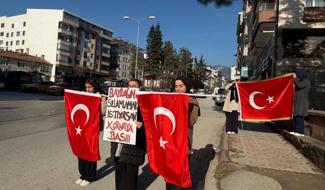 Tosya'da 'Bayrağını selamlamak istiyorsan kornaya bas' etkinliği düzenlendi