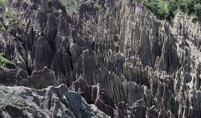 Türkiye'de korunan alan sayısı 692'ye yükseldi