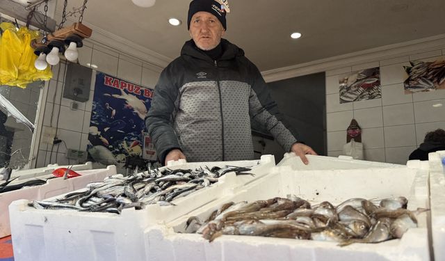 BALIKÇILAR UMDUĞUNU BULAMADI!