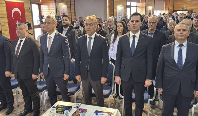 AB'den coğrafi tescil alan Yenice ıhlamur balı markalaşma yolunda ilerleyecek