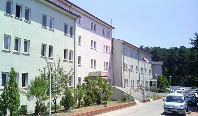 ALAPLI DEVLET HASTANESİ