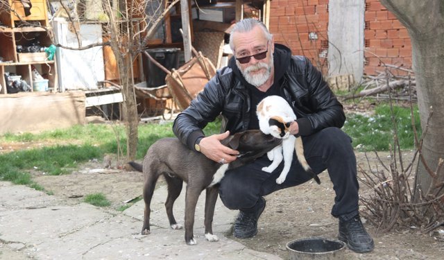 Amasya'da köpek Oskar ile kedi Çiçek'in dostluğu örnek oluyor