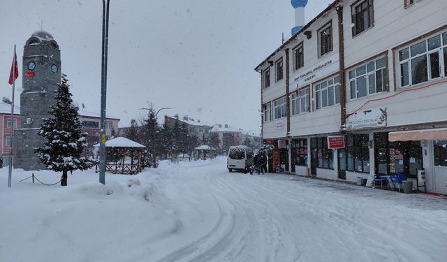 Başçiftlik'te kar yağışı etkisini sürdürüyor