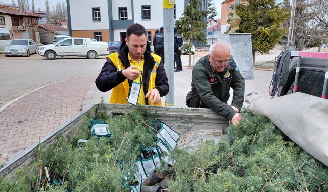 Başçiftlik'te öğrencilere fidan dağıtımı yapıldı
