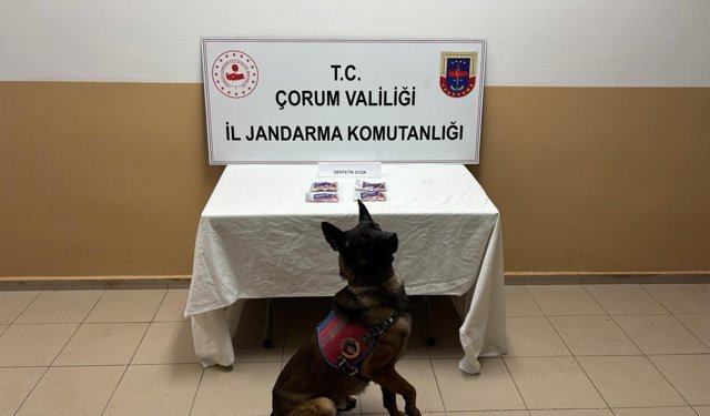 Çorum'da uyuşturucu operasyonunda 3 şüpheli yakalandı