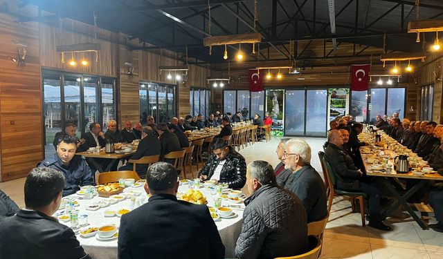 Düzce'den kısa kısa