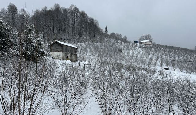 Gölyaka'nın yüksek kesimleri beyaz örtüyle kaplandı
