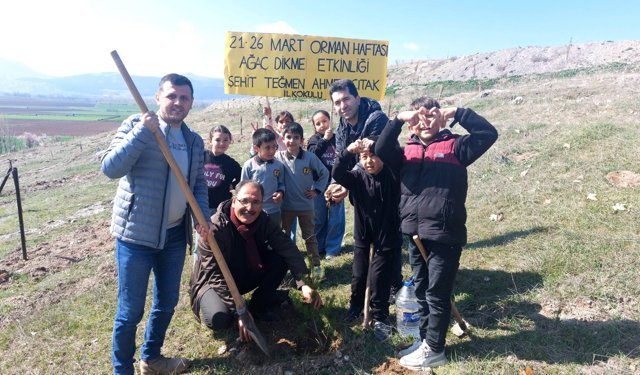 Gümüşhacıköy'de Orman Haftası'nda fidanlar toprakla buluşturuldu