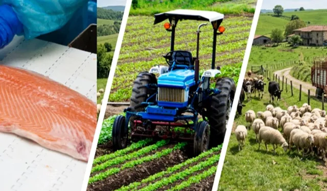 YENİ AÇIKLAMA GELDİ... 241 MİLYON AVROLUK DEV HİBE