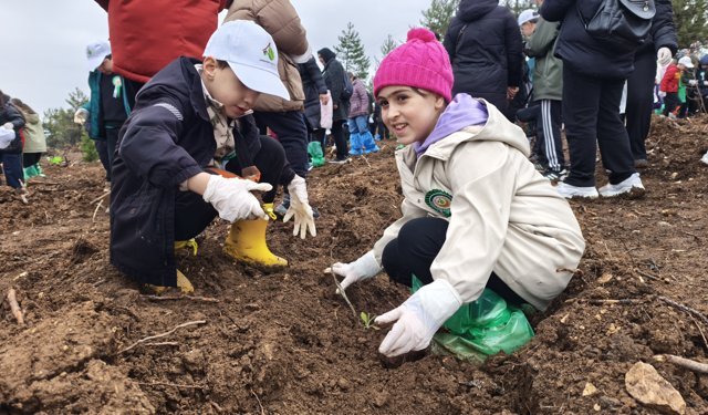 Karabük'te yanan ormanlık alana 2 bin 26 fidan dikildi