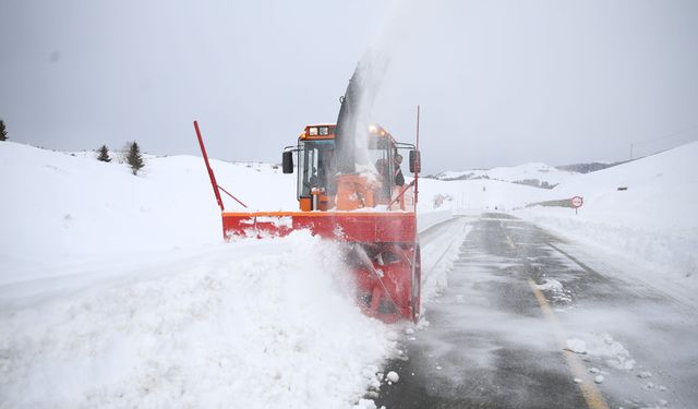 Ordu'da karla mücadele çalışmaları devam ediyor