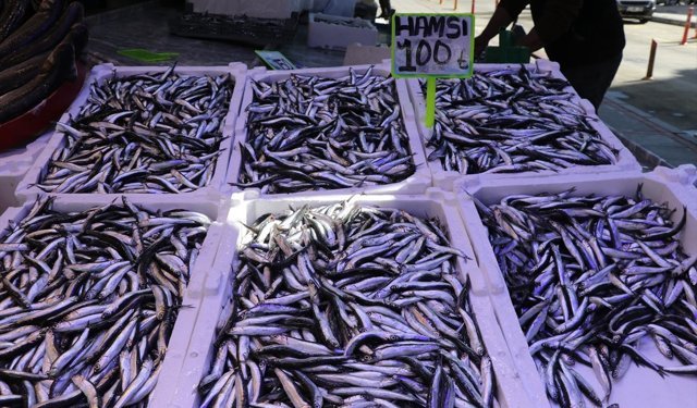 Rize'de istavrit ve hamsinin kilogramı 100 liradan satıldı