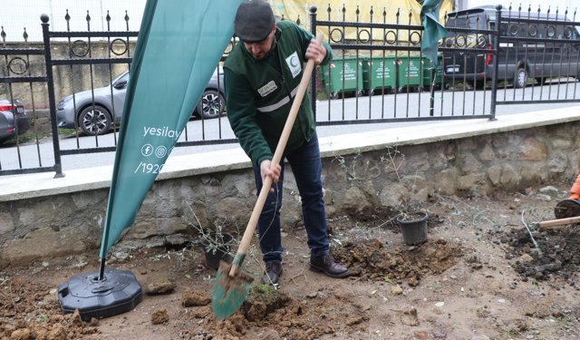 Rize'de Yeşilay Haftası kapsamında fidan dikim töreni düzenlendi