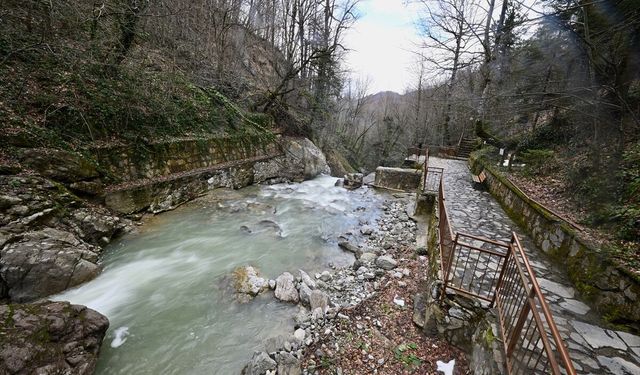 Samandere Şelalesi'nin debisi eriyen karla yükseldi