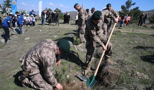 Tokat'ta Orman Haftası'nda fidanlar toprakla buluşturuldu