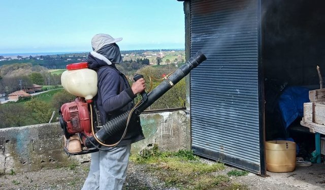 19 Mayıs'ta kahverengi kokarca ile mücadele çalışmaları sürüyor