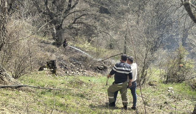 Bolu'da otluk alanda çıkan yangını söndürüldü