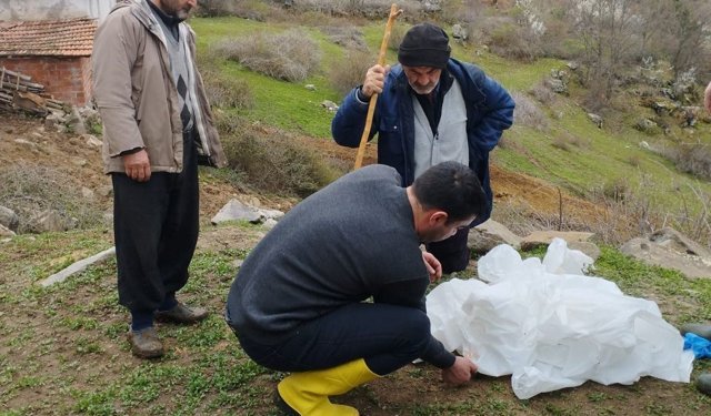 Göynücek'te şap hastalığına karşı bilgilendirme yapıldı