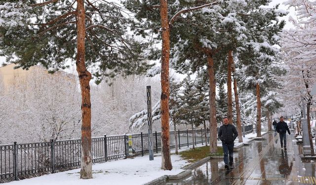 Gümüşhane ve çevre illerin yüksek kesimlerinde kar yağışı etkisini sürdürdü