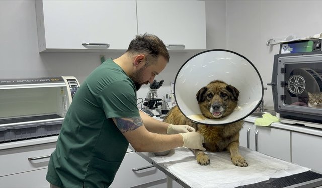 HAVLADIĞI GEREKÇESİYLE SİLAHLA VURULMUŞTU!