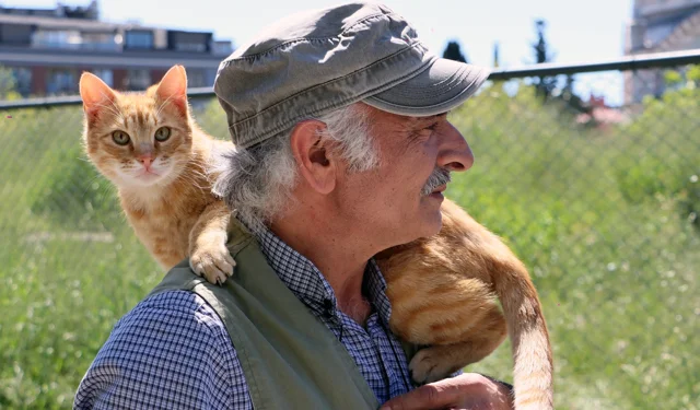 İstanbul Maltepe'de 'can dostlar' güvende