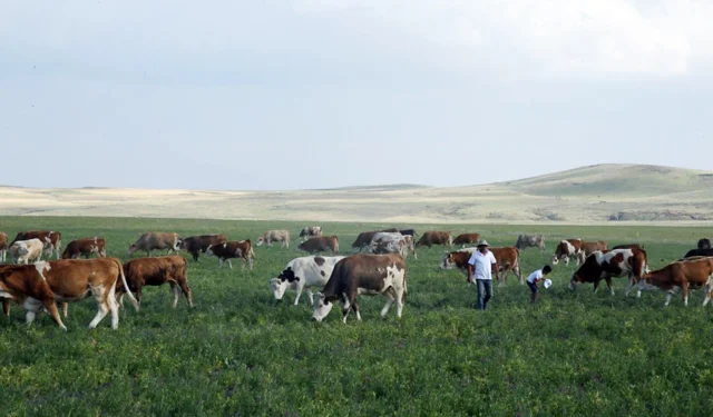 Kars Ani'de meralar yasaklandı mı? Açıklama geldi