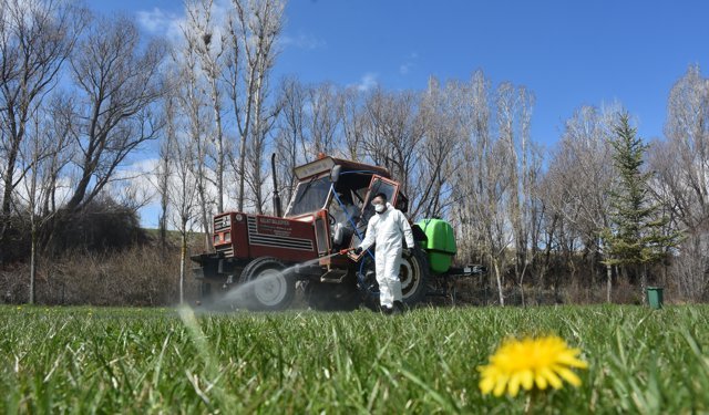 Kelkit'te kene ile mücadele çalışması başlatıldı