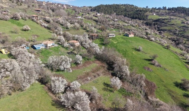 BAHARIN GELİŞİYLE...