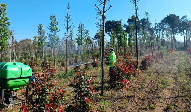 Kocaeli'de fidanlara koruyucu müdahale