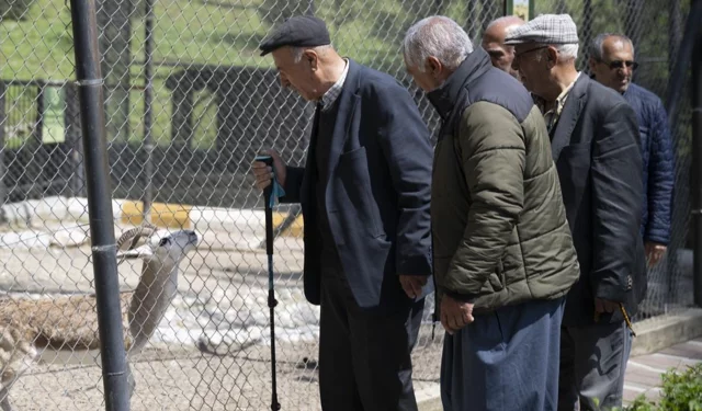 Mersin Büyükşehir, emeklileri doğayla buluşturuyor