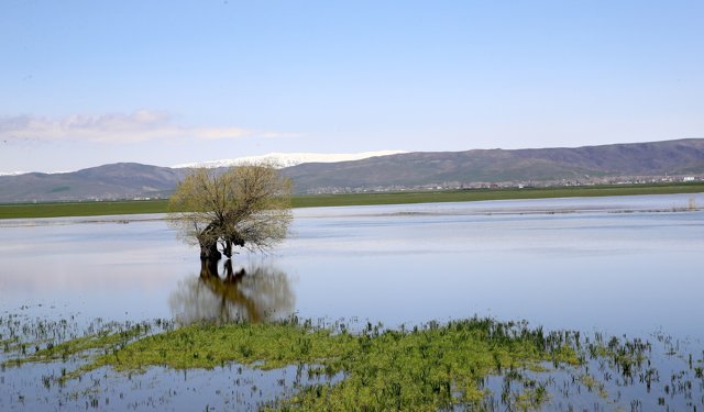Muş'ta yağışlar geçen yıla göre yüzde 200 arttı