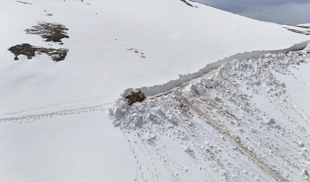 Ordu'nun yayla yollarında karla mücadele çalışmaları sürüyor