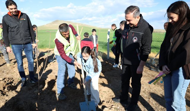 Sungurlu'da Çocuk ve Genç Meclisi üyeleri fidan dikti