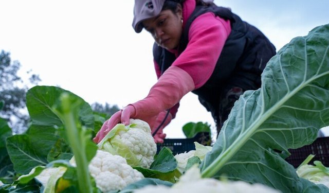 19,5 MİLYAR LİRA ÖDENECEK!