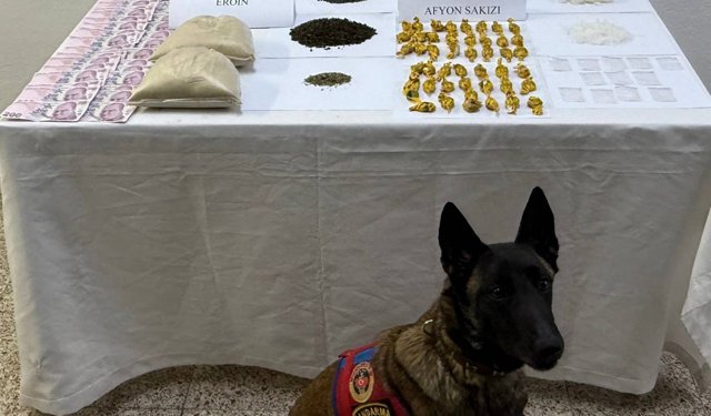 Tokat'ta uyuşturucu operasyonunda 1 zanlı yakalandı