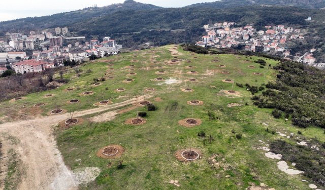 EREĞLİ'YE YENİ YAŞAM ALANI