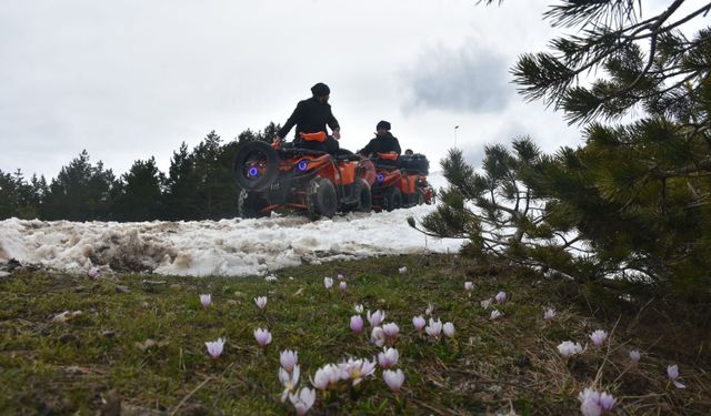Zigana Dağı safari yapmak isteyenleri ağırlıyor
