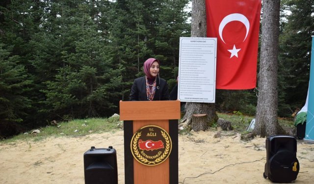 31. Uluslararası Şeyh Şaban-ı Veli ve Kastamonu Evliyaları Anma Haftası