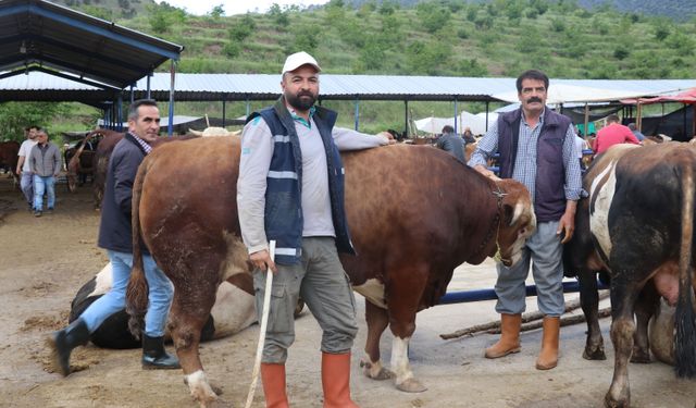 Amasya canlı hayvan pazarının gözdesi 'Şampiyon ve Paşa'