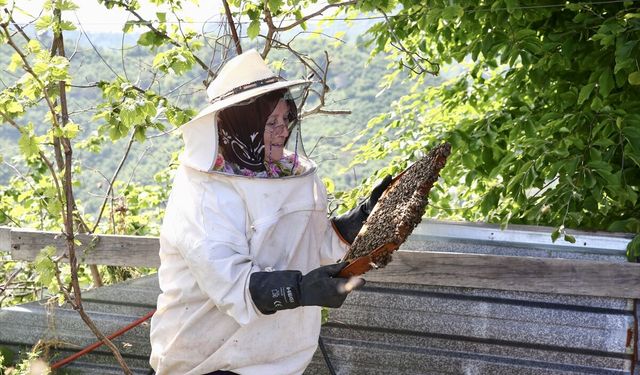 Büyükşehirden Giresun'a dönüp arıcılığa başlayan çift 36 yıldır bal üretiyor