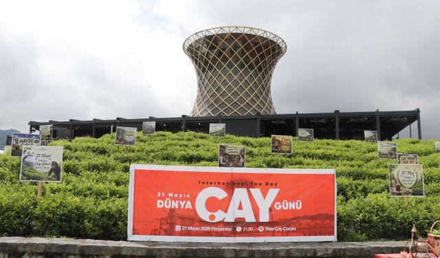 ÇAYKUR kampanyanın ilk gününde yaklaşık 900 ton yaş çay aldı