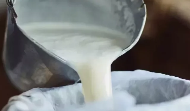 SÜT ÜRETİMİ DÜŞTÜ