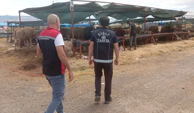 Çiğli'de kurban denetimleri aralıksız sürüyor